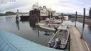 ./images/quadra/hbidock/20200427/hbidock20200427_124500M.jpg