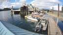 ./images/quadra/hbidock/20200427/hbidock20200427_164500M.jpg