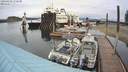 ./images/quadra/hbidock/20200428/hbidock20200428_170500M.jpg