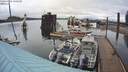 ./images/quadra/hbidock/20200429/hbidock20200429_140500M.jpg