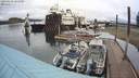 ./images/quadra/hbidock/20200429/hbidock20200429_165000M.jpg