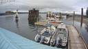 ./images/quadra/hbidock/20200429/hbidock20200429_185500M.jpg