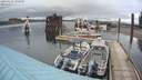 ./images/quadra/hbidock/20200429/hbidock20200429_190500M.jpg