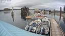 ./images/quadra/hbidock/20200429/hbidock20200429_192500M.jpg