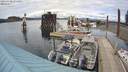 ./images/quadra/hbidock/20200430/hbidock20200430_155000M.jpg