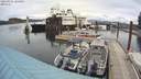 ./images/quadra/hbidock/20200501/hbidock20200501_144500M.jpg