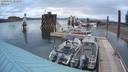 ./images/quadra/hbidock/20200501/hbidock20200501_202500M.jpg