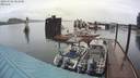 ./images/quadra/hbidock/20200502/hbidock20200502_081000M.jpg
