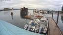 ./images/quadra/hbidock/20200502/hbidock20200502_091500M.jpg