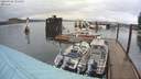 ./images/quadra/hbidock/20200502/hbidock20200502_101500M.jpg