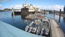 ./images/quadra/hbidock/20200503/hbidock20200503_110500M.jpg