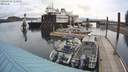 ./images/quadra/hbidock/20200504/hbidock20200504_110500M.jpg
