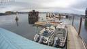 ./images/quadra/hbidock/20200504/hbidock20200504_181500M.jpg