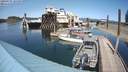 ./images/quadra/hbidock/20200507/hbidock20200507_145000M.jpg