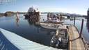 ./images/quadra/hbidock/20200508/hbidock20200508_083000M.jpg