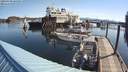 ./images/quadra/hbidock/20200508/hbidock20200508_085000M.jpg