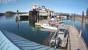 ./images/quadra/hbidock/20200508/hbidock20200508_163500M.jpg