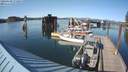./images/quadra/hbidock/20200508/hbidock20200508_172500M.jpg
