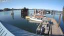./images/quadra/hbidock/20200508/hbidock20200508_175500M.jpg