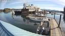 ./images/quadra/hbidock/20200509/hbidock20200509_085000M.jpg