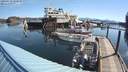 ./images/quadra/hbidock/20200510/hbidock20200510_090500M.jpg