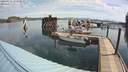 ./images/quadra/hbidock/20200511/hbidock20200511_101000M.jpg
