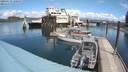 ./images/quadra/hbidock/20200513/hbidock20200513_130500M.jpg