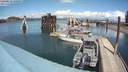 ./images/quadra/hbidock/20200513/hbidock20200513_140000M.jpg
