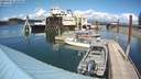 ./images/quadra/hbidock/20200513/hbidock20200513_144500M.jpg