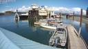 ./images/quadra/hbidock/20200513/hbidock20200513_145000M.jpg