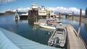 ./images/quadra/hbidock/20200513/hbidock20200513_145500M.jpg
