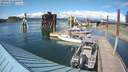 ./images/quadra/hbidock/20200513/hbidock20200513_162500M.jpg