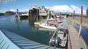 ./images/quadra/hbidock/20200513/hbidock20200513_165000M.jpg