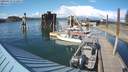 ./images/quadra/hbidock/20200513/hbidock20200513_171000M.jpg