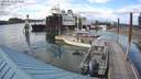 ./images/quadra/hbidock/20200513/hbidock20200513_184000M.jpg