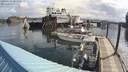 ./images/quadra/hbidock/20200514/hbidock20200514_083501M.jpg