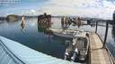 ./images/quadra/hbidock/20200514/hbidock20200514_094500M.jpg