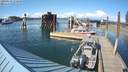 ./images/quadra/hbidock/20200514/hbidock20200514_171000M.jpg