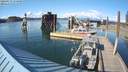 ./images/quadra/hbidock/20200514/hbidock20200514_174000M.jpg