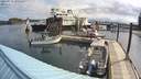 ./images/quadra/hbidock/20200515/hbidock20200515_090500M.jpg