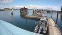 ./images/quadra/hbidock/20200515/hbidock20200515_113000M.jpg