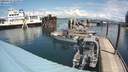 ./images/quadra/hbidock/20200515/hbidock20200515_123500M.jpg