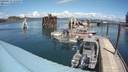 ./images/quadra/hbidock/20200515/hbidock20200515_132500M.jpg