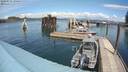 ./images/quadra/hbidock/20200515/hbidock20200515_134500M.jpg