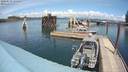 ./images/quadra/hbidock/20200515/hbidock20200515_135500M.jpg