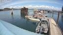 ./images/quadra/hbidock/20200515/hbidock20200515_140500M.jpg