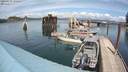 ./images/quadra/hbidock/20200515/hbidock20200515_142000M.jpg
