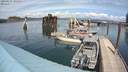 ./images/quadra/hbidock/20200515/hbidock20200515_142500M.jpg