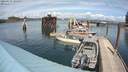 ./images/quadra/hbidock/20200515/hbidock20200515_143000M.jpg