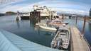 ./images/quadra/hbidock/20200515/hbidock20200515_150500M.jpg